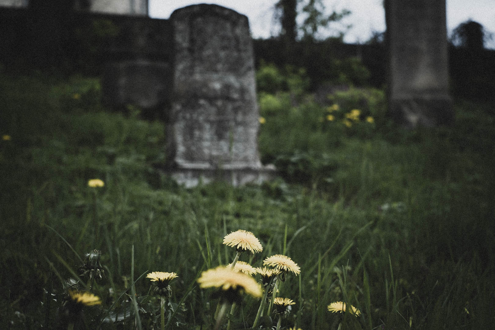 Borgholz, Jüdischer Friedhof